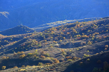 大青山