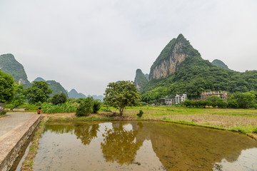 新农村建设