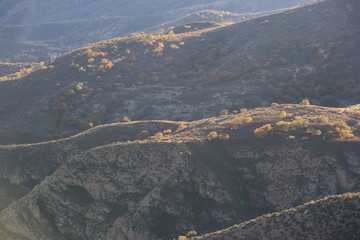 大青山