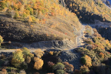 大青山