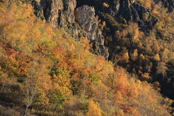 大青山