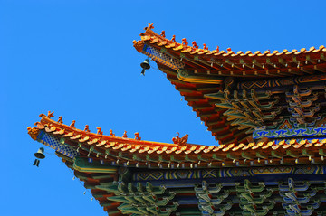 屋脊