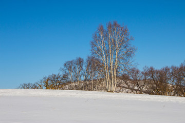 雪