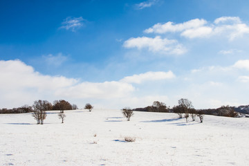 雪