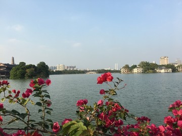 红花湖面