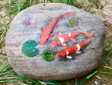 石头金鱼