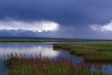 山雨