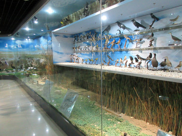 郑州自然博物馆