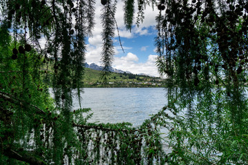 风景