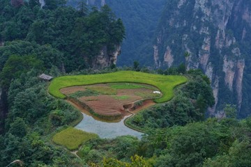 云上梯田