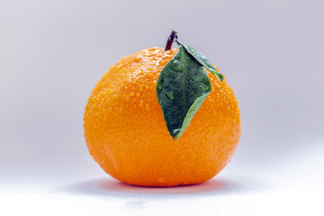 高清丑橘