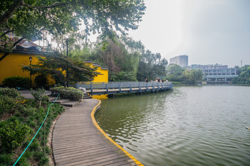 常州红梅公园