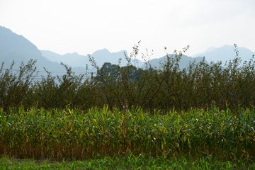 石台风光