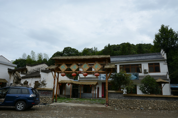 鸭