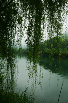 石台随拍