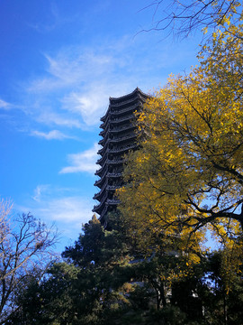 北京大学博雅塔