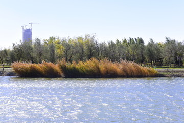银川湿地公园