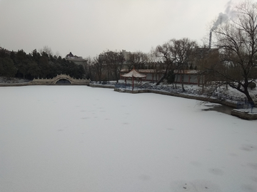 湖中雪
