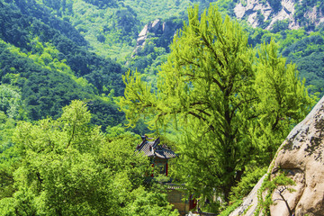 千山无量观西阁鼓楼与树木山峰