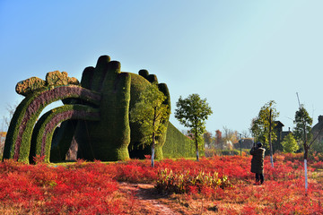 西昌邛海小渔村植物园