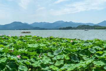 杭州西子湖畔