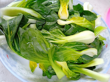 青菜