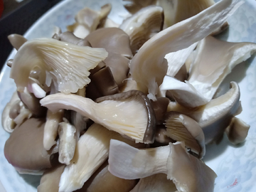 香菌