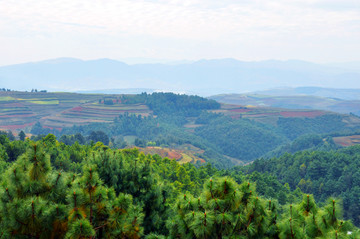 山村