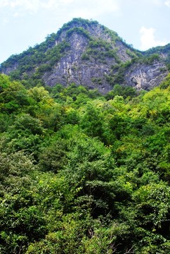 高山风光
