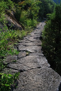 山道