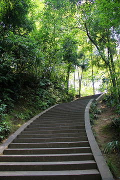 青城山西蜀第一山