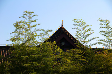 峨眉山大佛禅院