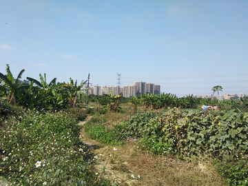 乡村田野风景