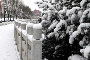 公园雪景