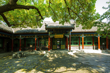 中式古建园林