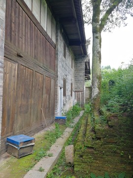 老屋后墙