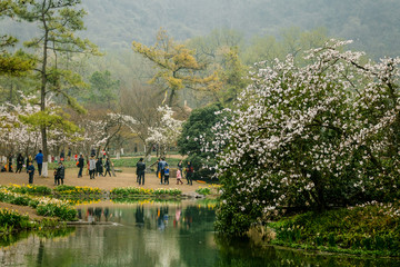 太子湾公园