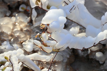 阳光下的冰雪