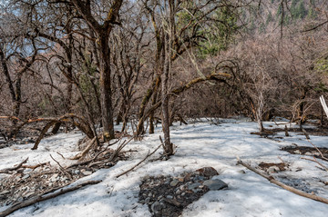 四姑娘山长平沟积雪