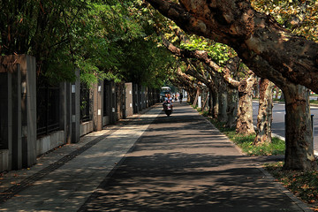 成都电子科技大学