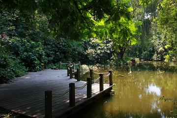 中国电子科技大学