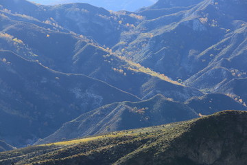 大青山