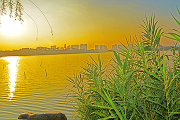 东莞松山湖黄昏风景