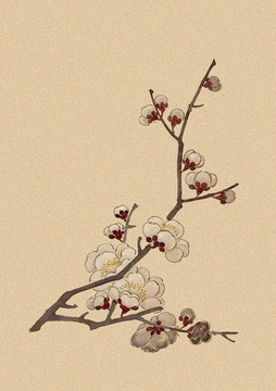 梅花
