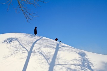 树影滑雪蓝天