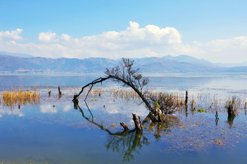 洱海岸