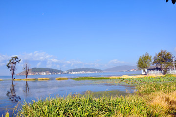 洱海湿地