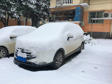 被雪覆盖的汽车