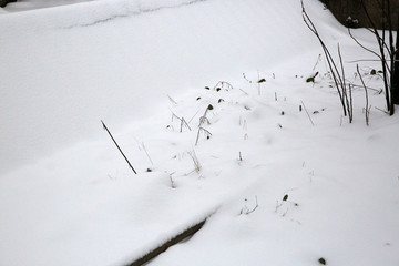 雪景