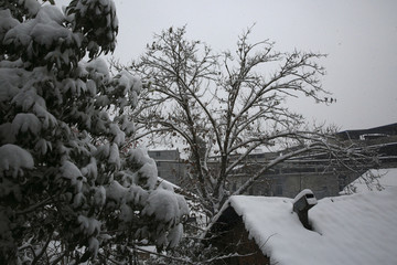 美丽的雪景